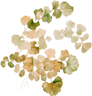 Fotografia ślubna - Dawid Skura