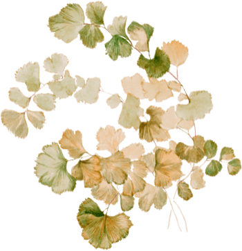 Fotografia ślubna - Dawid Skura